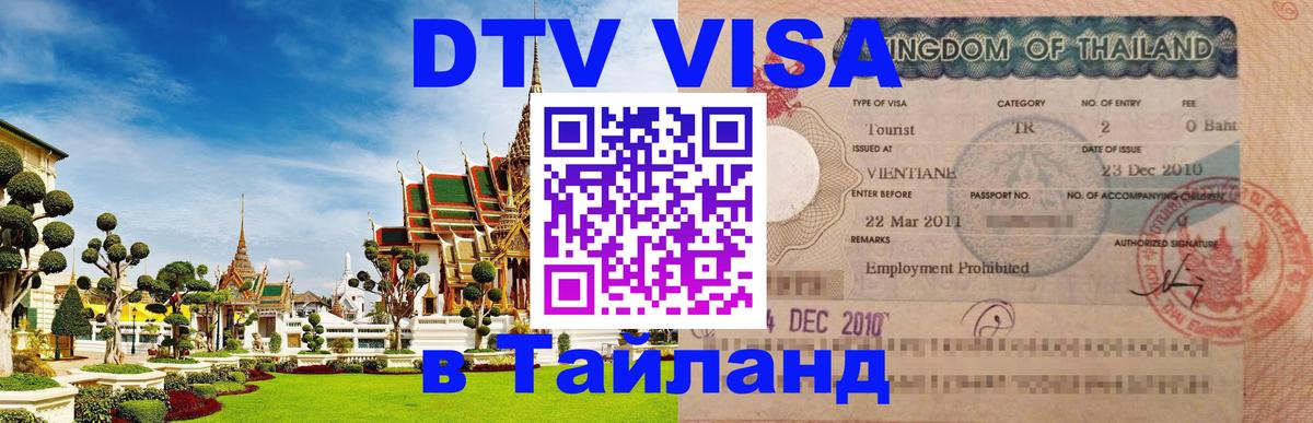 Сколько стоит DTV виза — актуальные цены, оформление даже без документов - Тирана  20.11.2025 